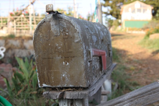 neighbor's rustic mailbox